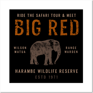 Meet Big Red Animal Kingdom Harambe Safari Tour Posters and Art